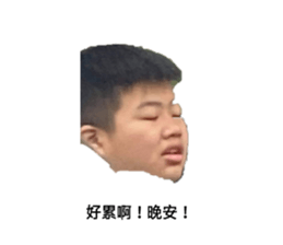 412016098