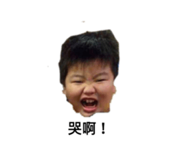 412016100