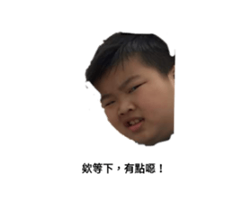 412016102