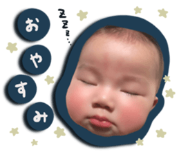412019077