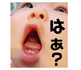 412048645
