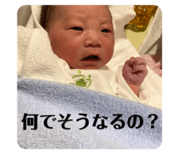 412048655