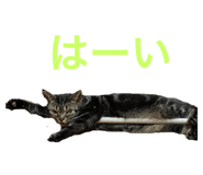412110044