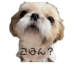 412125149