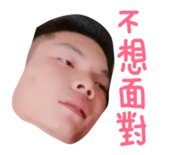 41214894
