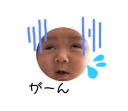 412249959
