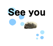 412281827