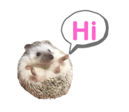 412281832