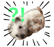 412281835
