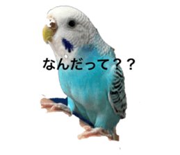 412339175