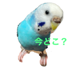 412339185