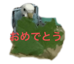 412339187