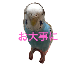 412339196