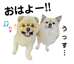 412405696