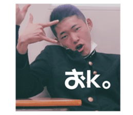 412448097