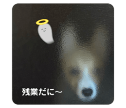 412529150