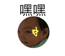41253544