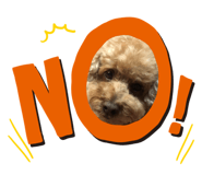 412541176