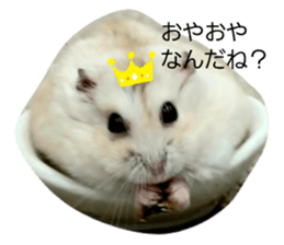 412561876