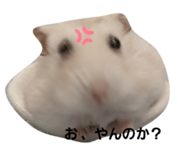 412561877