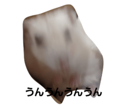 412561881
