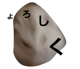 412561885