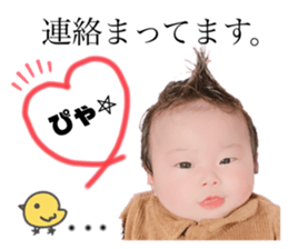 412627420