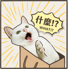 412711910
