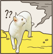 412711911