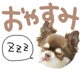 412726617