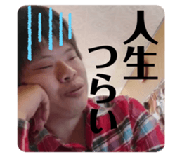 412773798