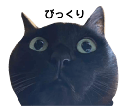 412788452