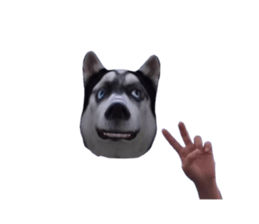 412842534
