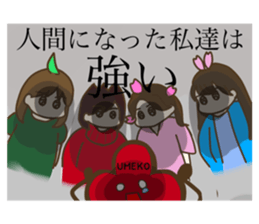 412893150