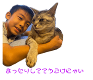 413011255