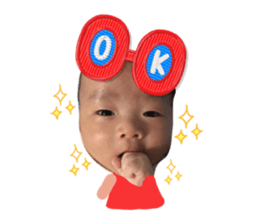 41306024