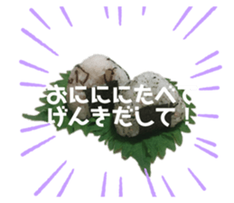 413083291