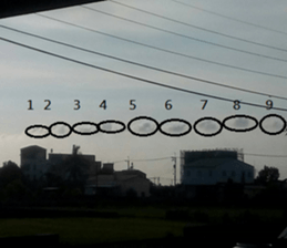 413120619