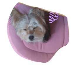 413194470