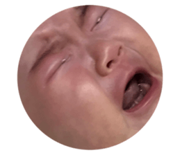 41322391