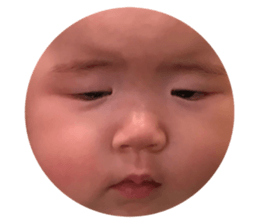 41322394