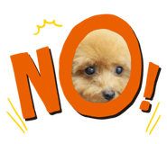 413230659