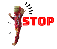 413353259