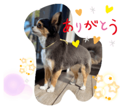 413423309