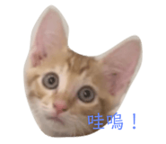 413433627