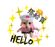 413572582