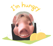 413640446