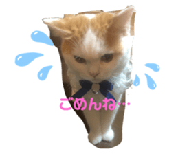 413708655