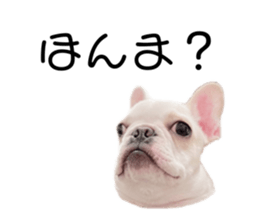 413714054