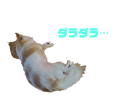 413767341